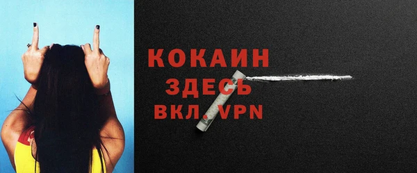 мескалин Ельня