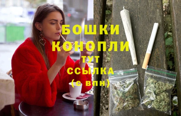 мескалин Ельня