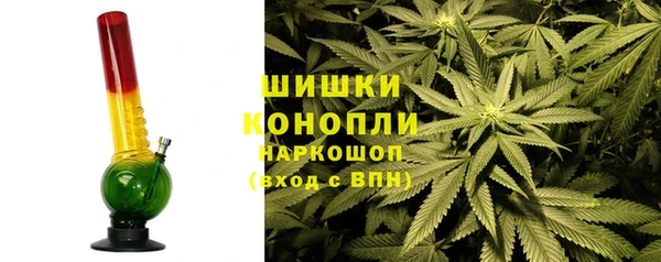 мескалин Ельня