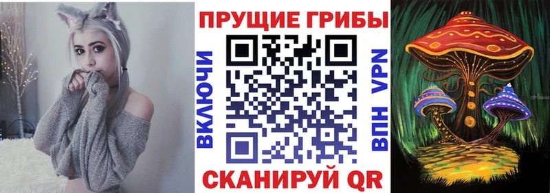 Псилоцибиновые грибы Cubensis  Купить где  Сураж 