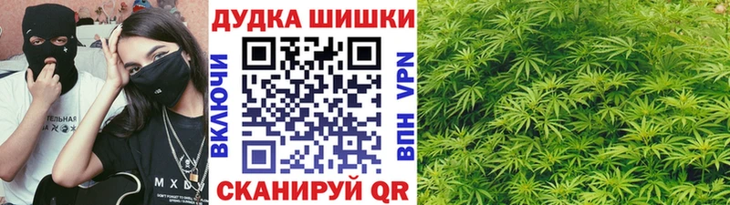 Купить где  Сураж  Бошки марихуана White Widow 
